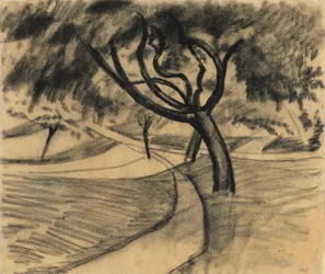 Baum und Felder